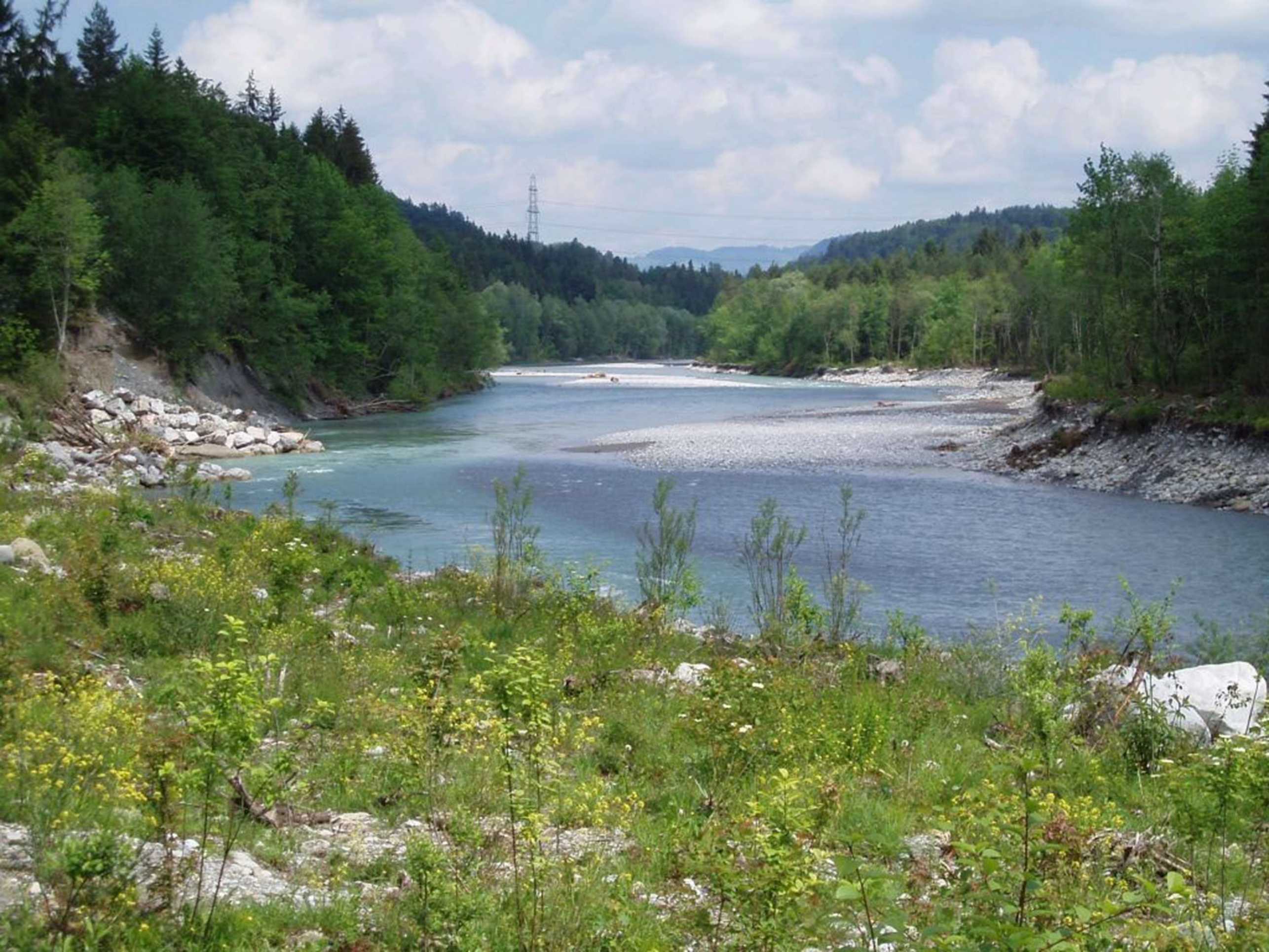 Vergrösserte Ansicht: Flussaufweitung Augang an der Kander (Tiefbauamt des Kantons Bern, Oberingenieurkreis I, Kander Augand, 2006)